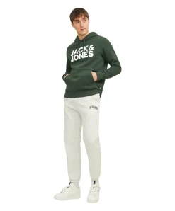 Jack & Jones Kapuzensweatshirt mit Logo-Brustprint in Grün