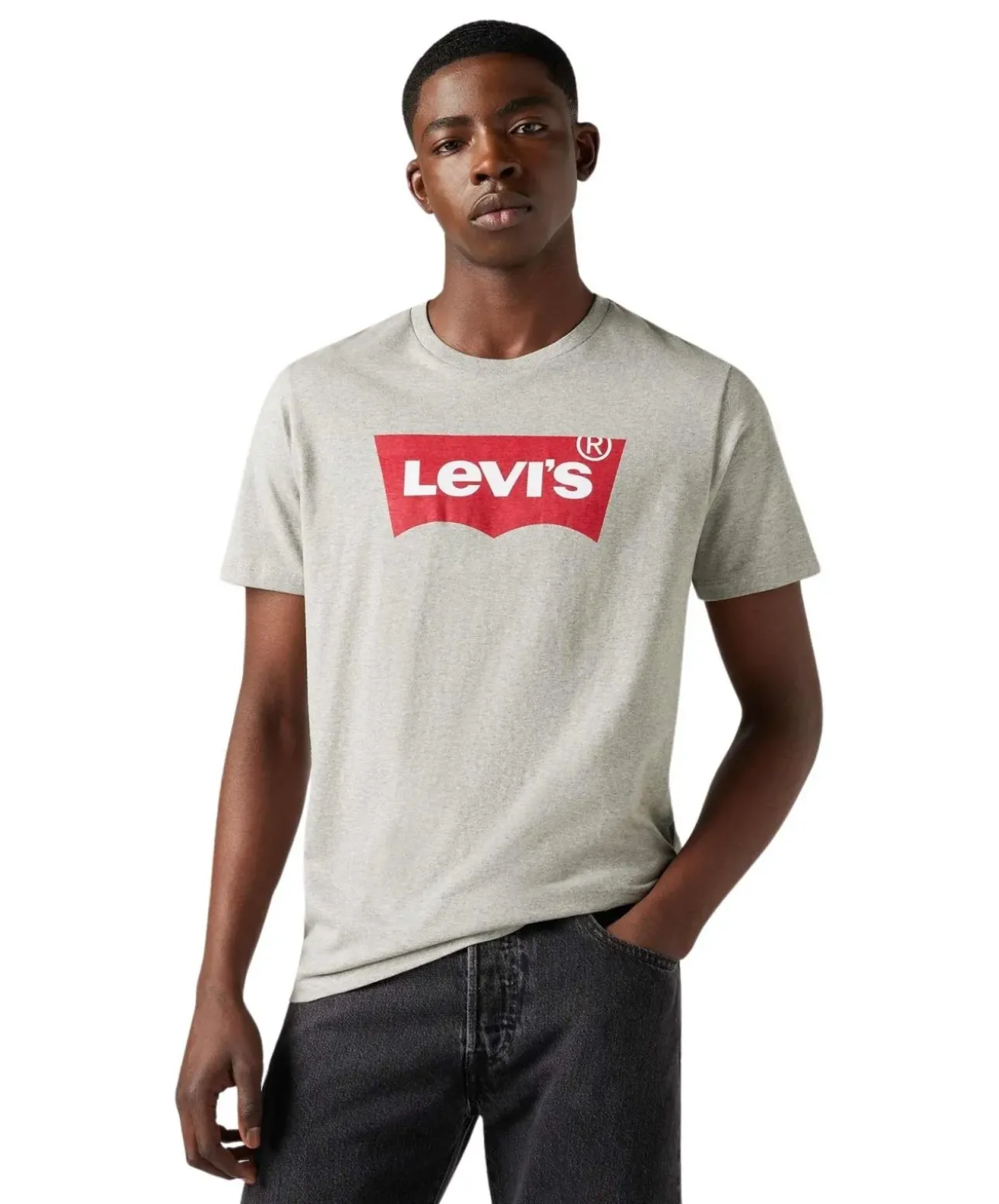 Levi’s T-Shirt Housemark in Grau mit Batwing-Print